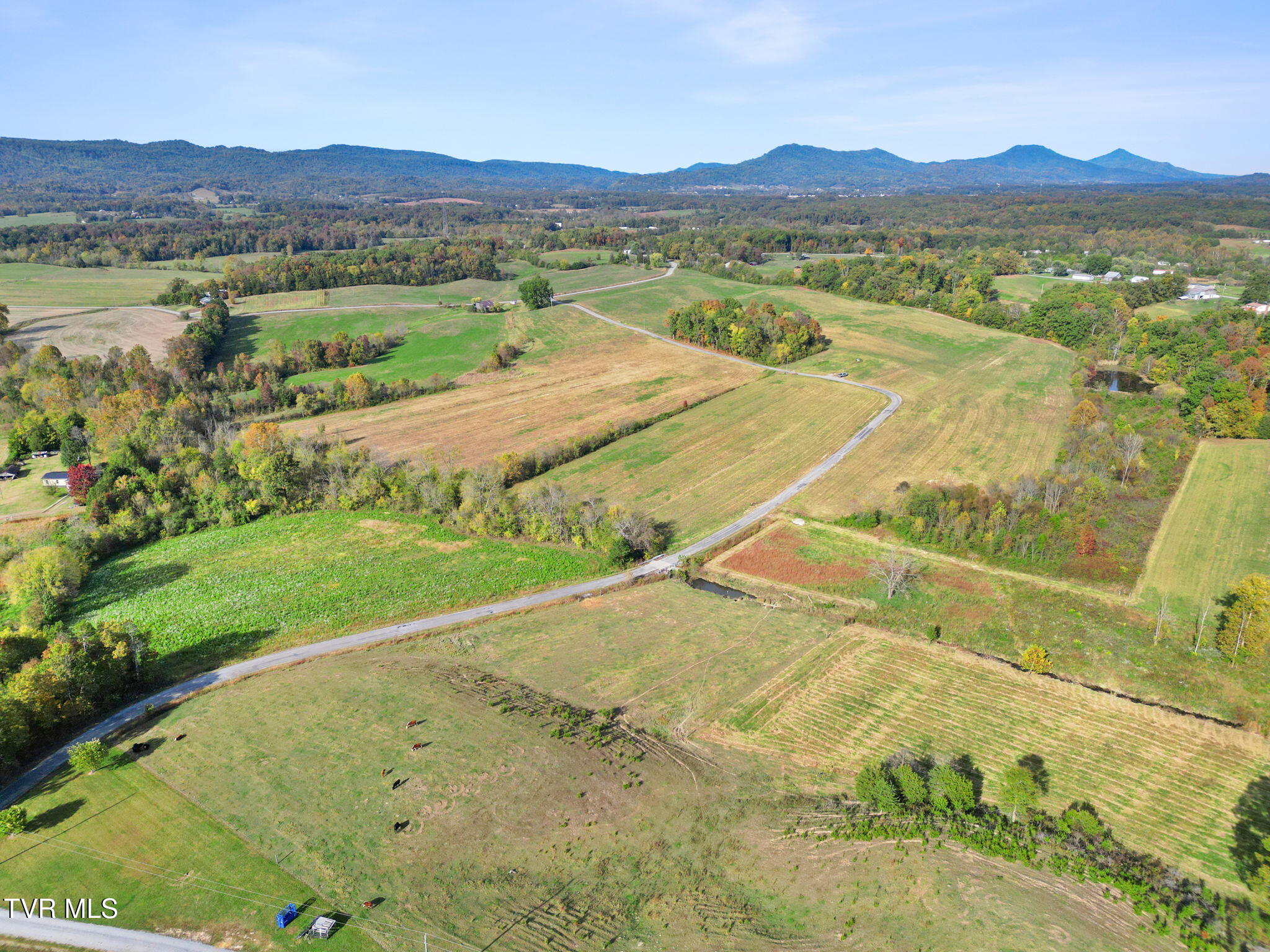 Lot 1 Billy Bible Road Greeneville, TN 37745 - Photo 9 of 10 19-web-or-mls-DJI_0511 - Copy
