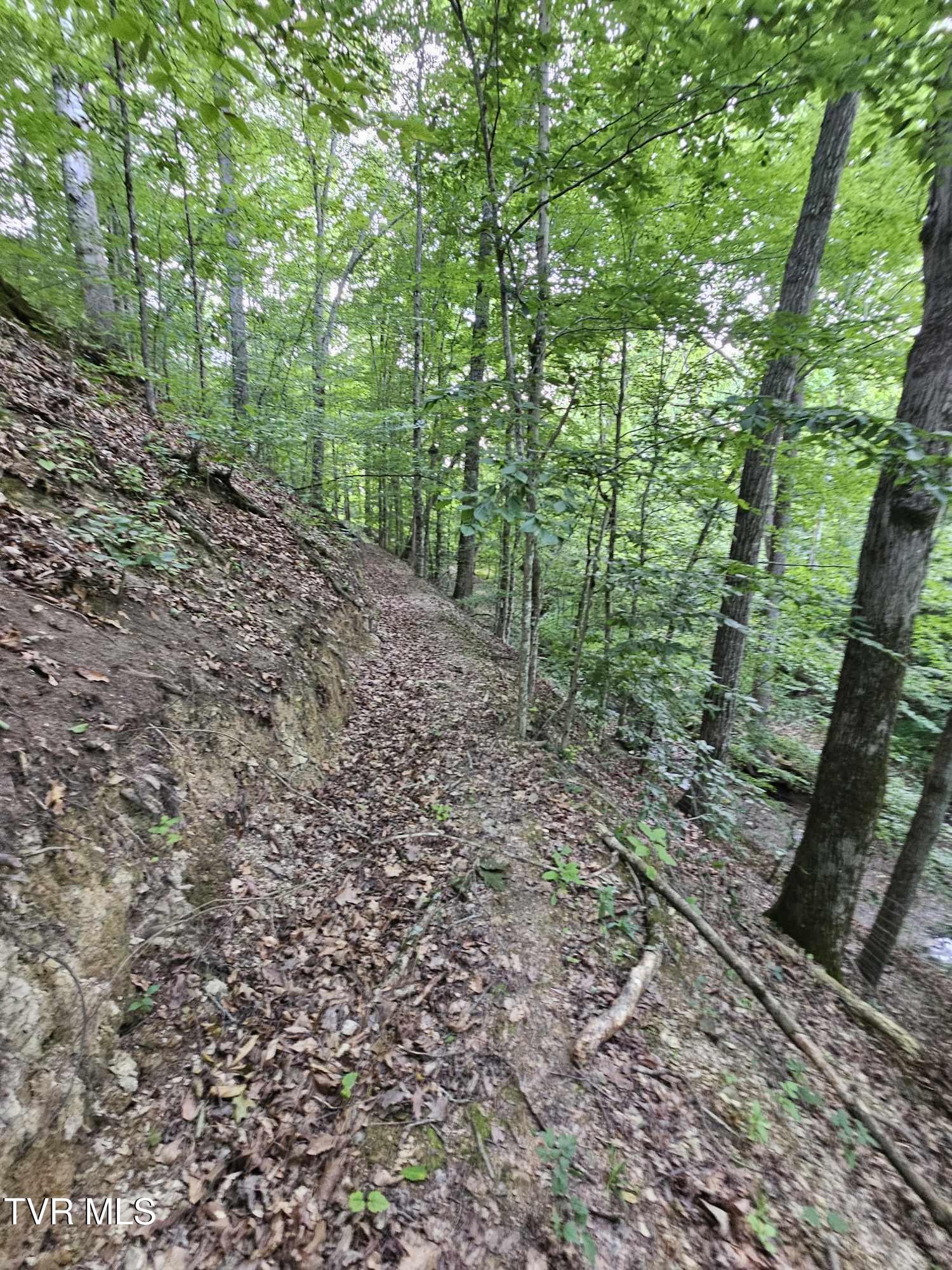 2264 Devault Bridge Road Piney Flats, TN 37686 - Photo 9 of 29 4de0c289-9186-43d9-a813-6ee2d1ff6f8d