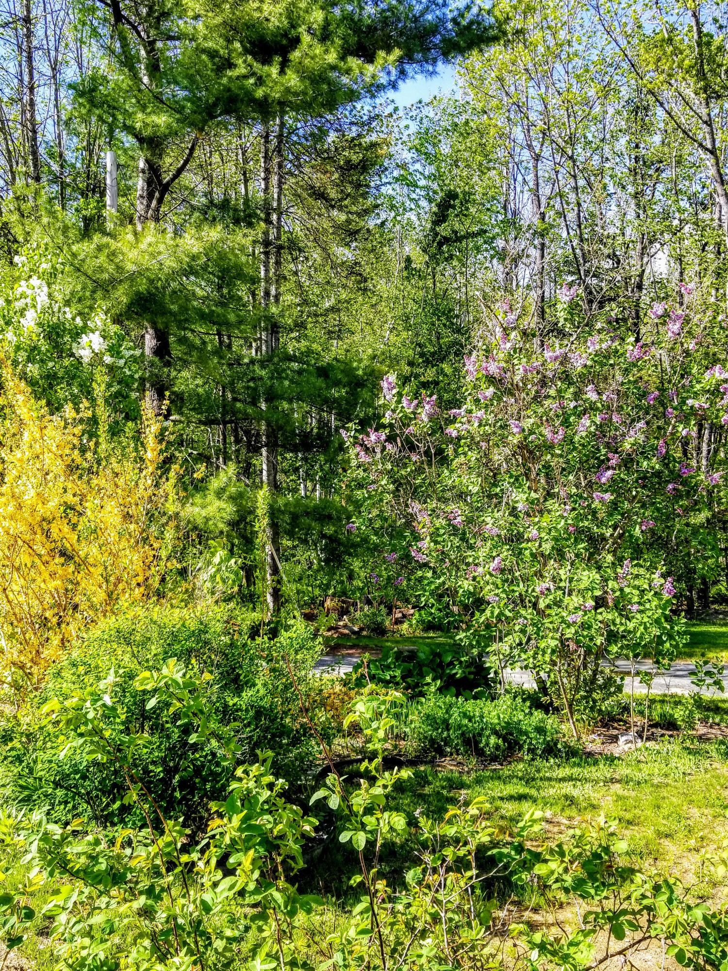 204 Temple Road Temple, ME 04984 - Photo 46 of 49 20190603_162432