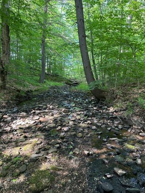 6228 State Rte 55 Liberty, NY 12754 - Photo 1 of 1 Gallery Image 1