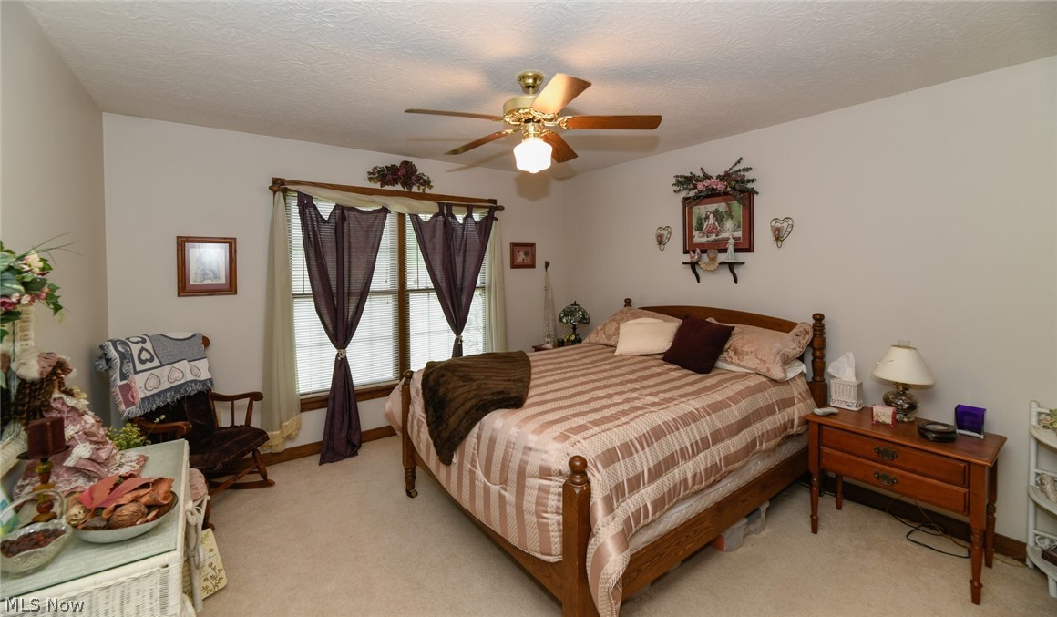 10420 Mt Eaton Road Wadsworth, OH 44281 - Photo 17 of 24 Gallery Image 17