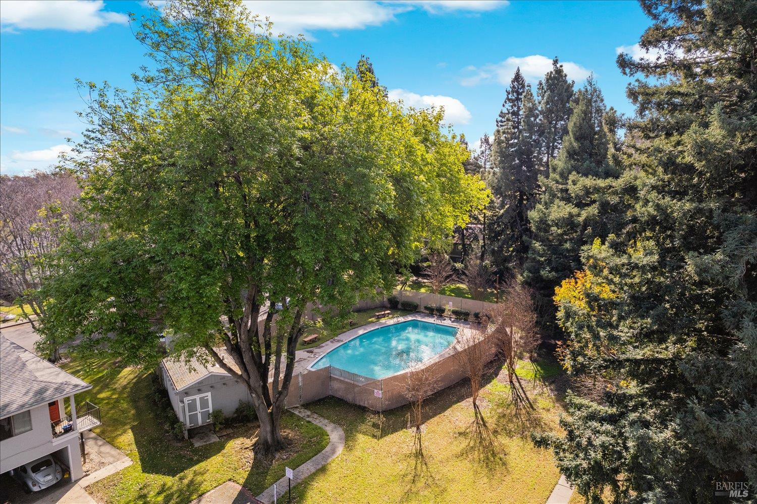 130 Del Rio Circle, Unit 2 Vacaville, CA 95687 - Photo 28 of 33 a view of a swimming pool with some plants and large trees