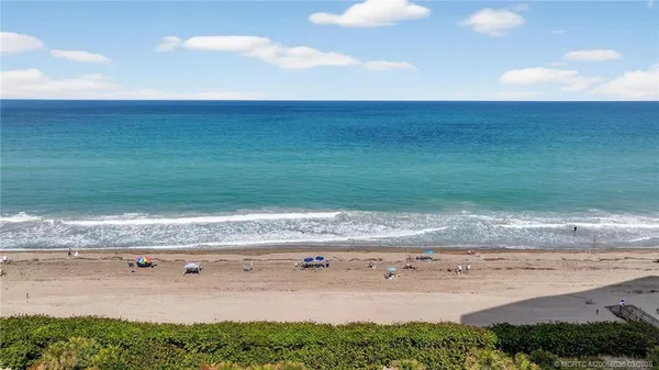 a view of a dry yard with wooden floor