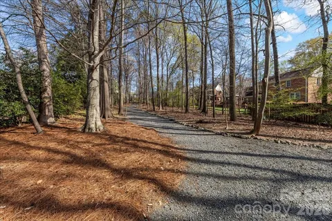 a view of a backyard with large trees