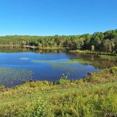 $195,000 | 3 Highway E Lowndes Mo 63951, Lowndes, MO 63951