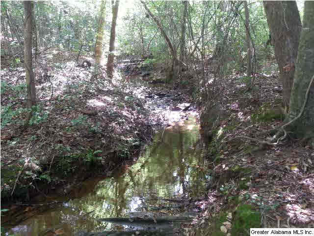 455 County Road, Unit 53 Woodland, AL 36280 - Photo 19 of 21