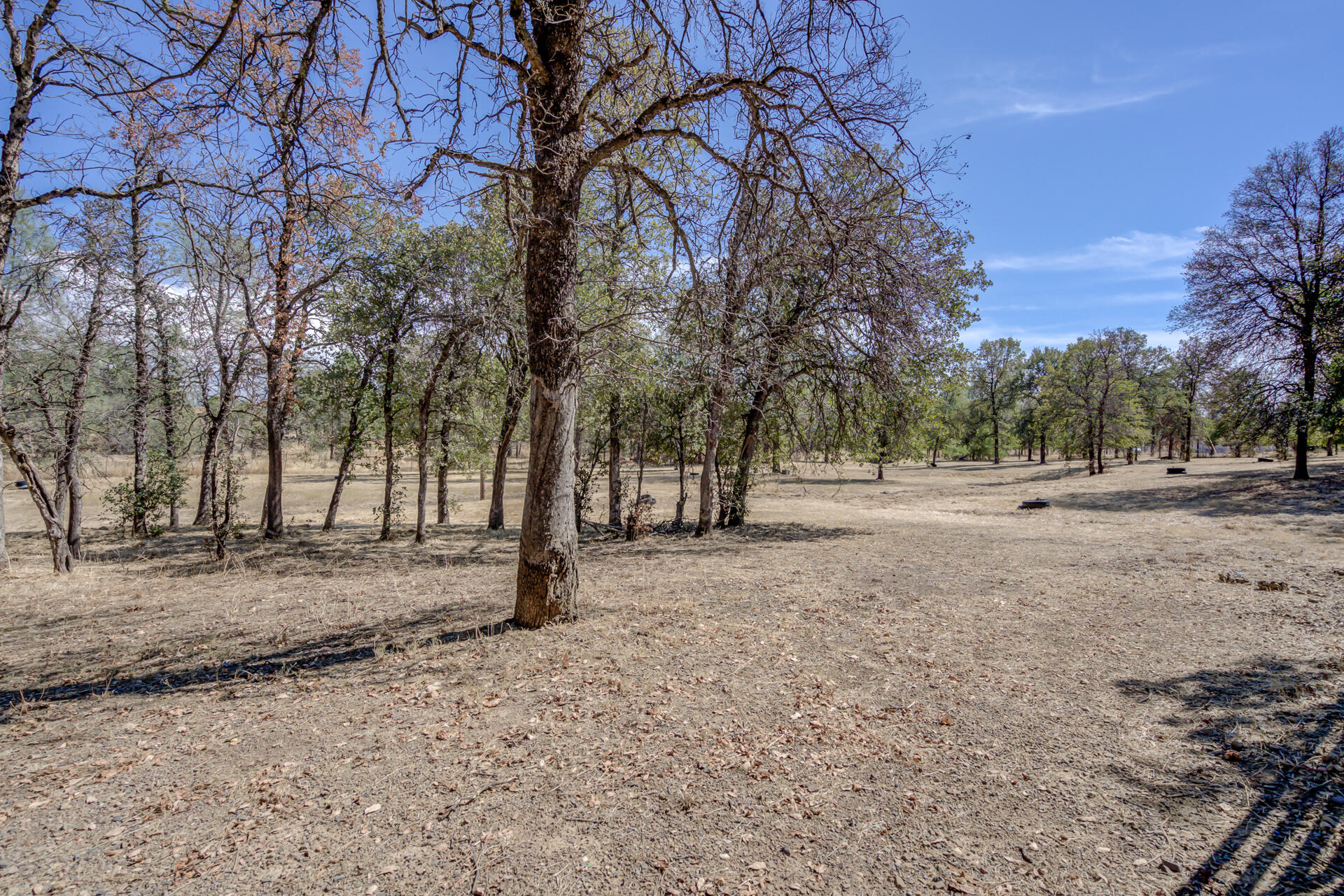 20798 Teachs Trail Redding, CA 96003 - Photo 39 of 46 20798TeachsTrl-59