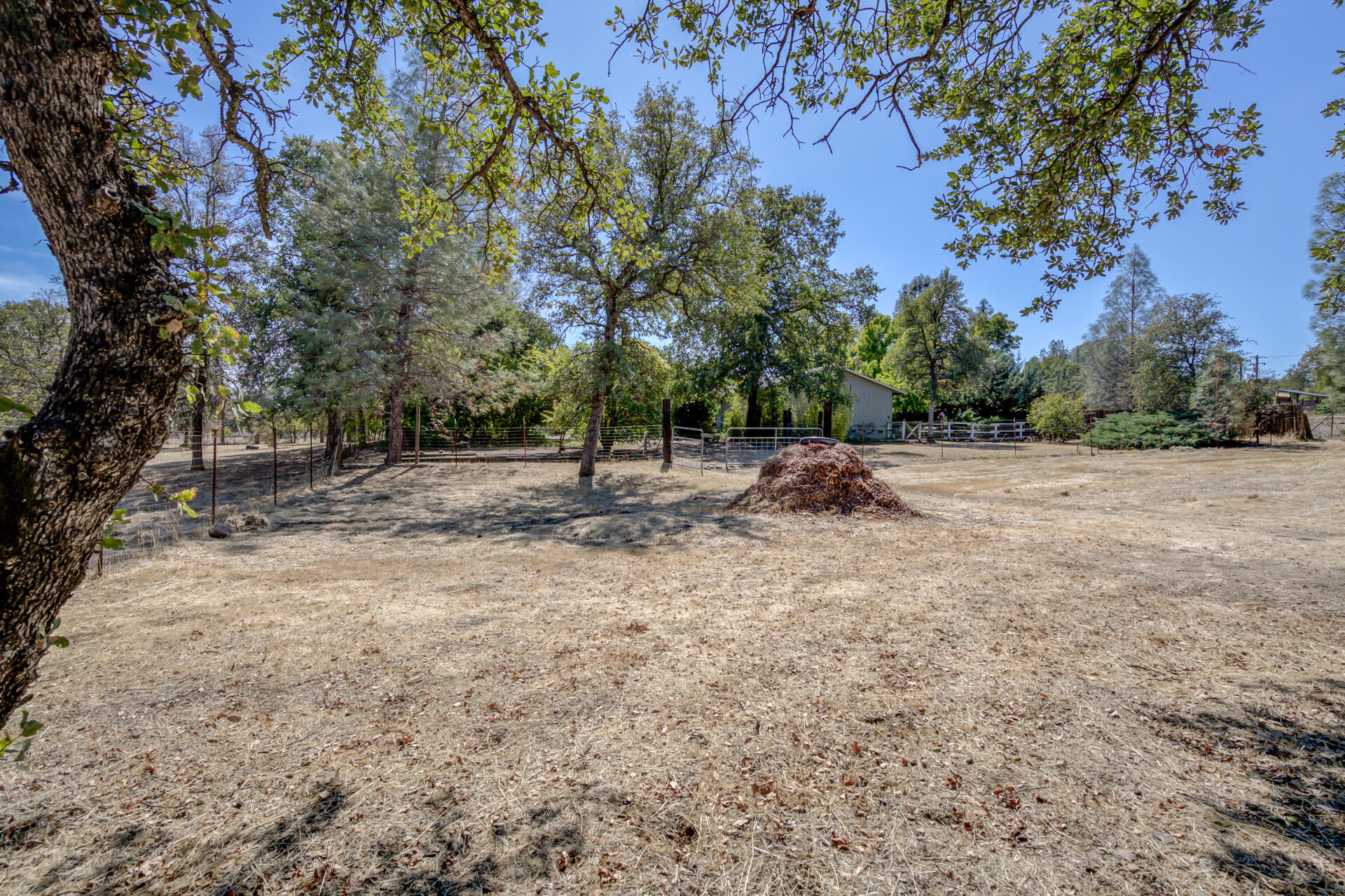 20798 Teachs Trail Redding, CA 96003 - Photo 40 of 46 20798TeachsTrl-61