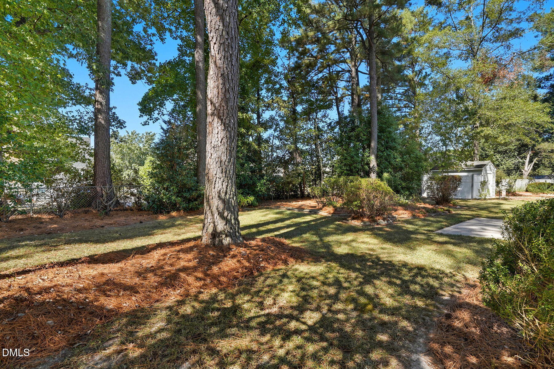 3812 Gloucester Road Rocky Mount, NC 27803 - Photo 29 of 39 Backyard
