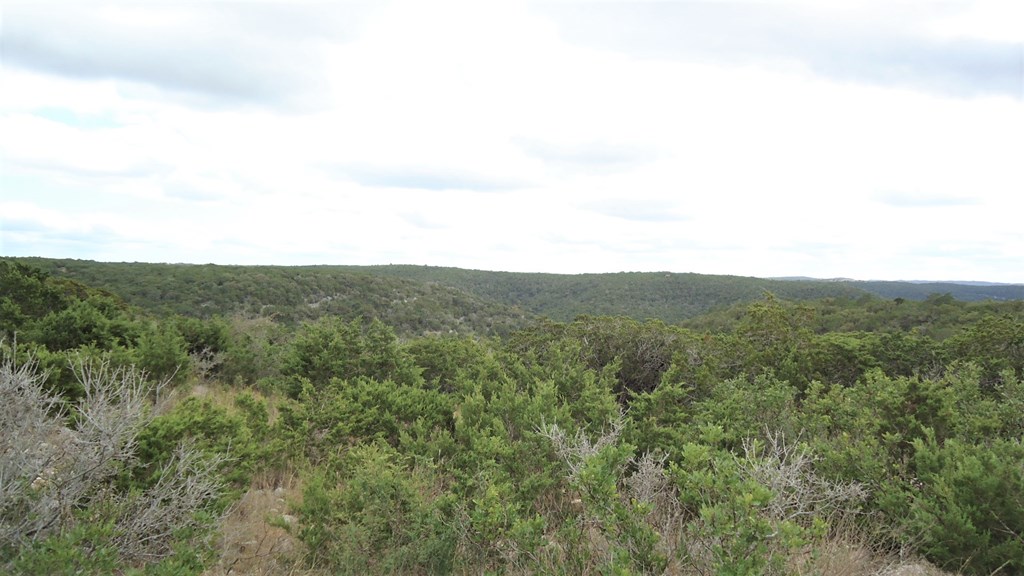 229 Pinon Loop East Camp Wood, TX 78833 - Photo 3 of 24
