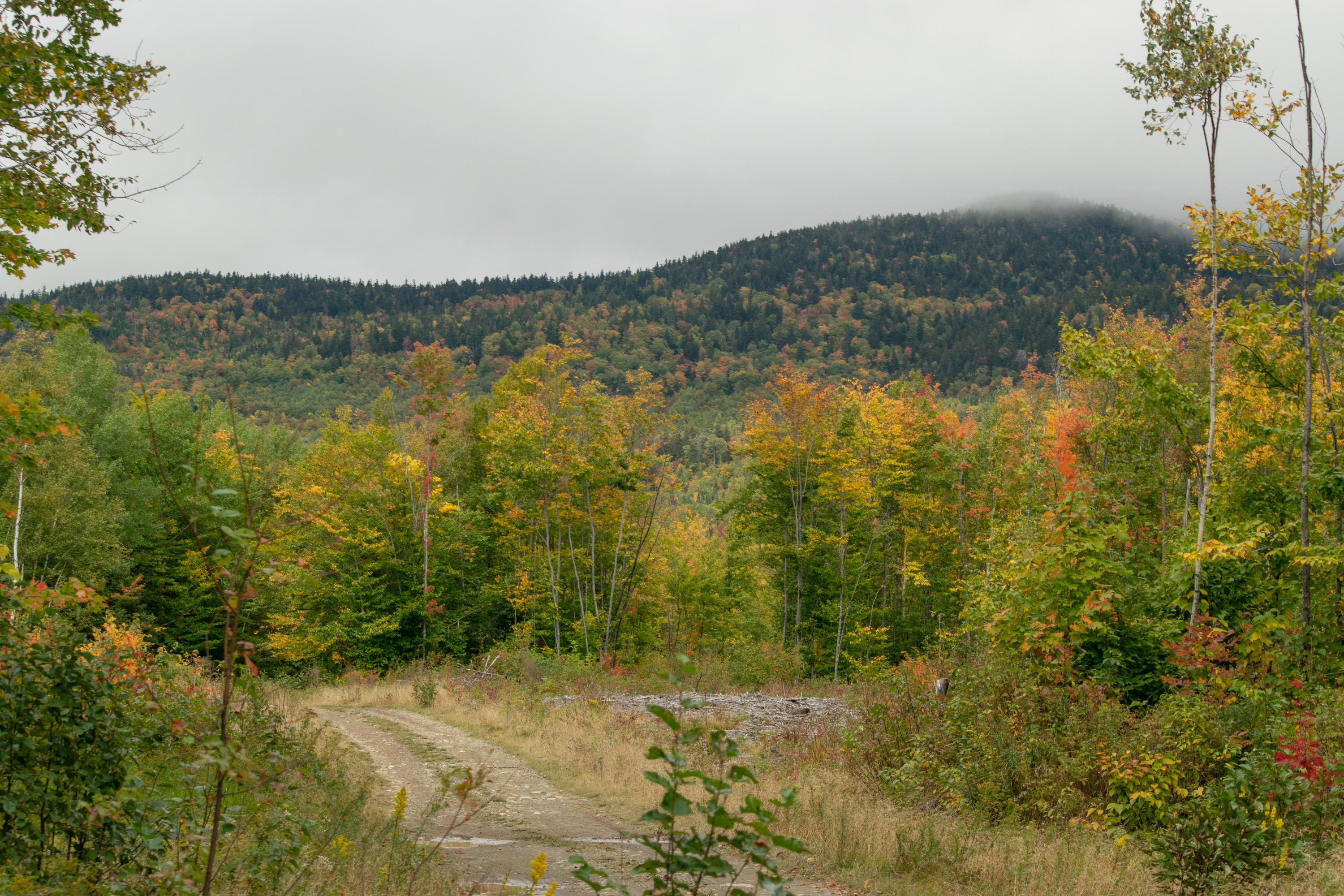 Lot 69 Cyr Rd Mount Mount Chase, ME 04765 - Photo 10 of 14 DSC_1468