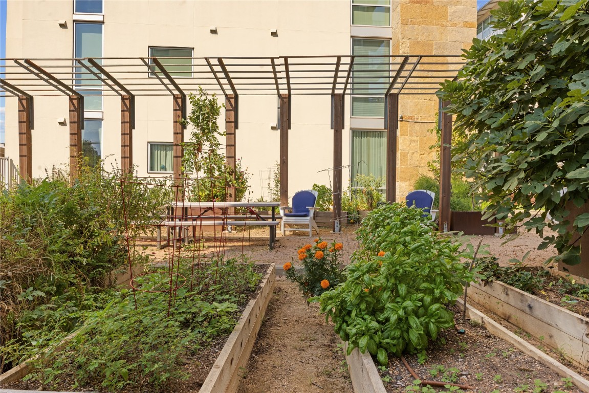 1600 Barton Springs Road, Unit 5301 Austin, TX 78704 - Photo 23 of 30 View featuring a community vegetable garden