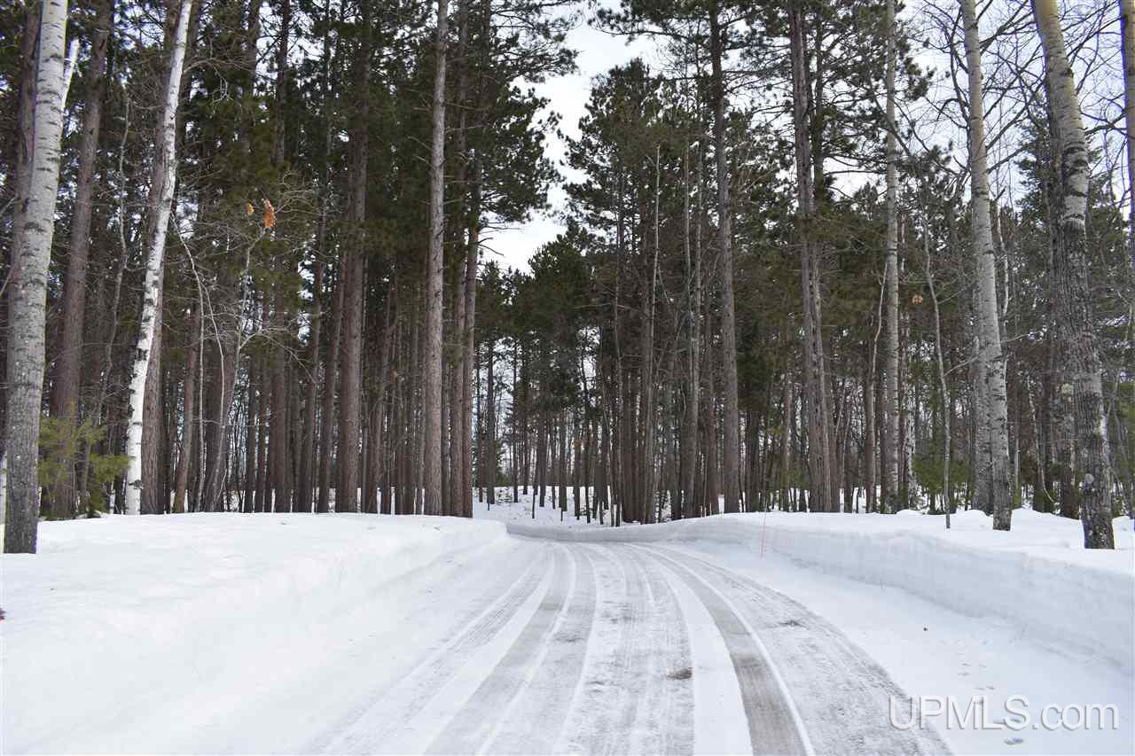 180 Co Road Negaunee, MI 49866 - Photo 43 of 50