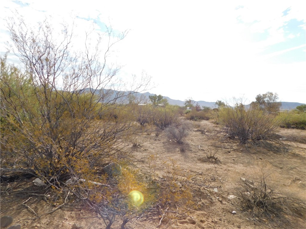 Lot 11 North Avra Road Golden Valley, AZ 86413 - Photo 4 of 10 Other