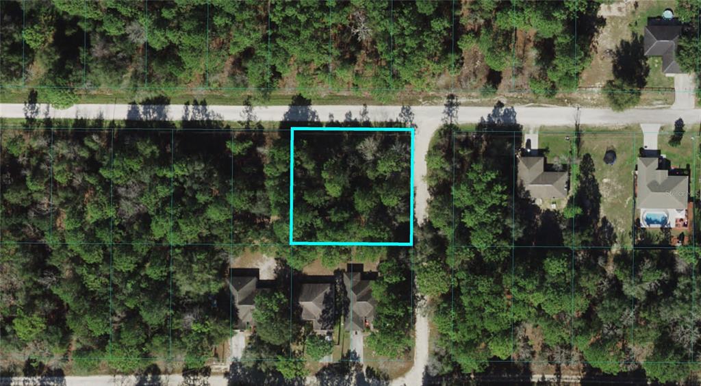 0 Southwest 16th Place Ocala, FL 34481 - Photo 2 of 4 a view of a garden