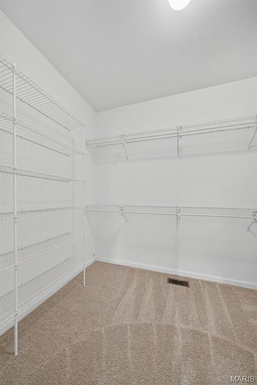 3780 Forest Meadow Drive Defiance, MO 63341 - Photo 42 of 96