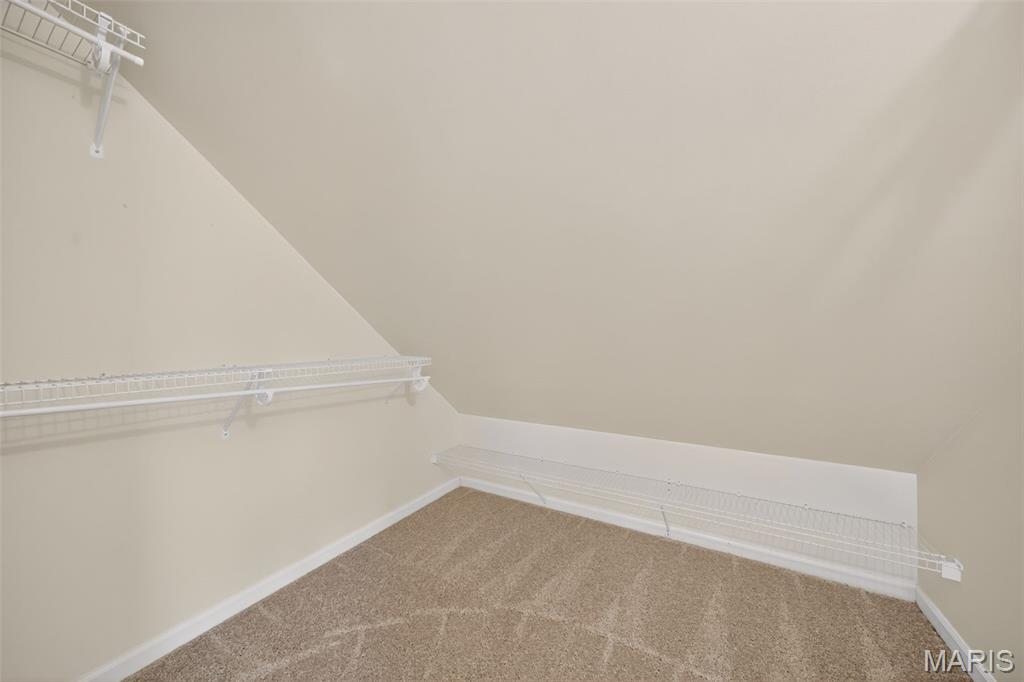 3780 Forest Meadow Drive Defiance, MO 63341 - Photo 48 of 96