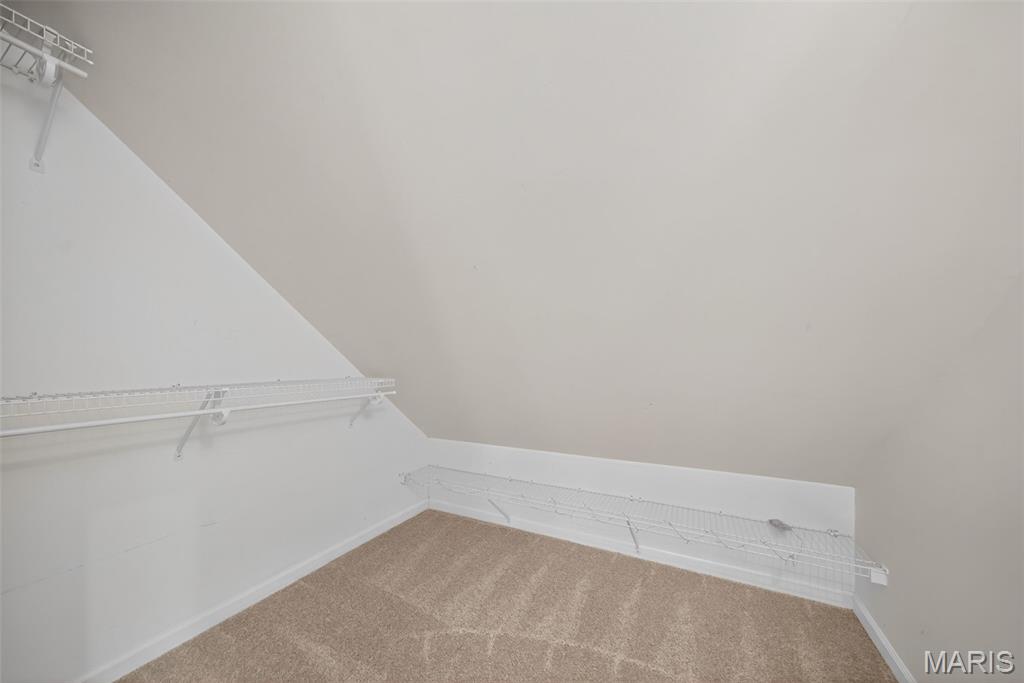 3780 Forest Meadow Drive Defiance, MO 63341 - Photo 51 of 96