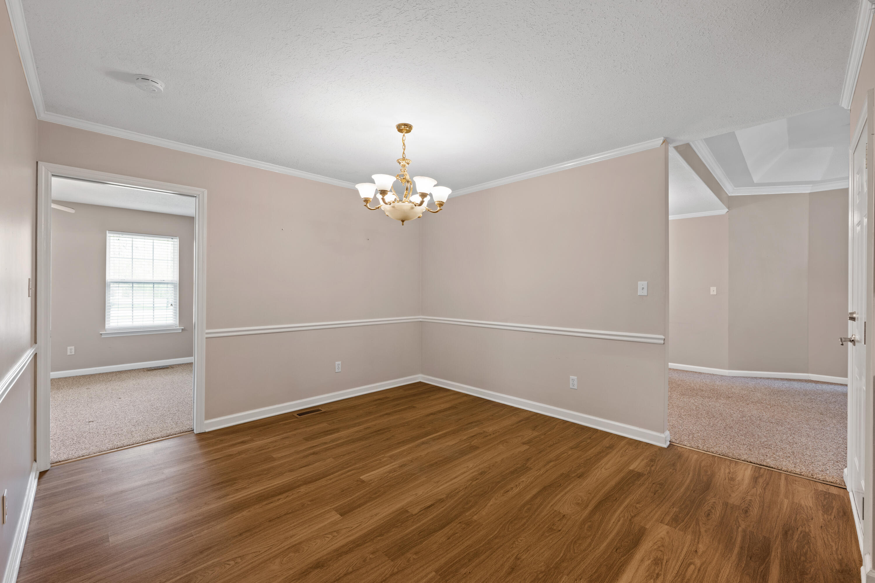 3731 Kellys Ferry Road Chattanooga, TN 37419 - Photo 12 of 43 19-print-DSC_2853-13