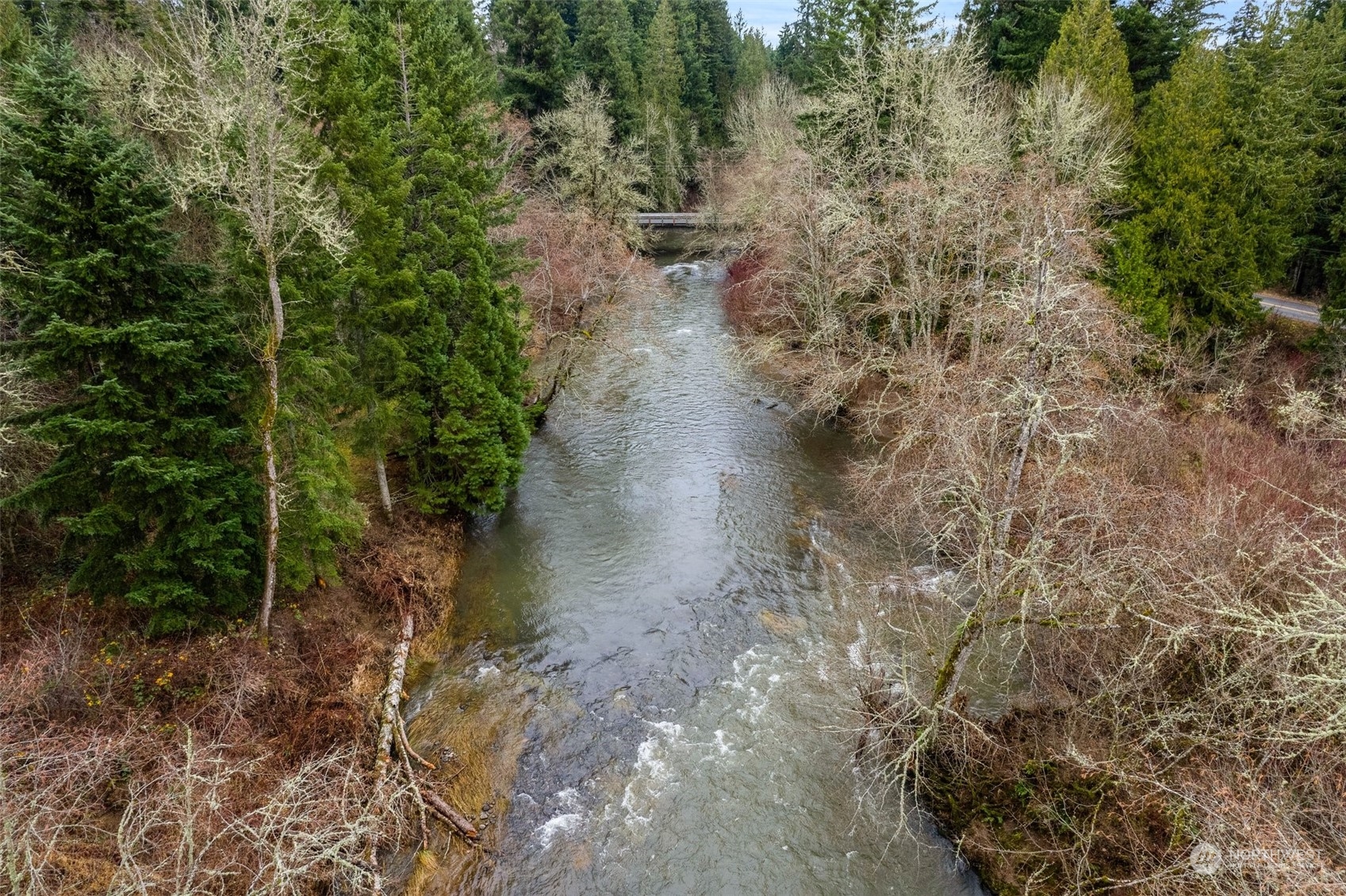 14047 Vail Cut Off Road Southeast Rainier, WA 98576 - Photo 13 of 23 Gallery Image 13