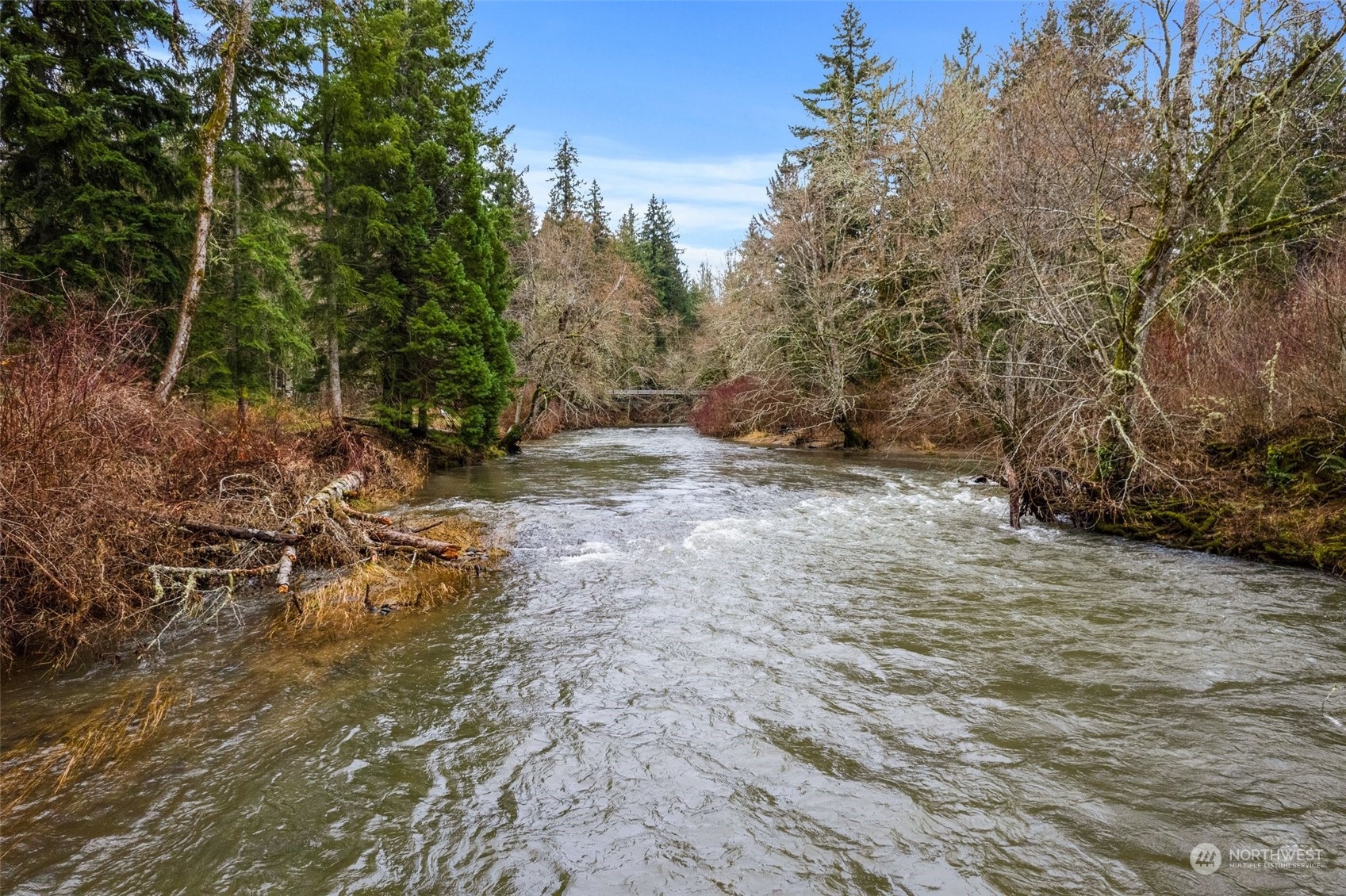 14047 Vail Cut Off Road Southeast Rainier, WA 98576 - Photo 14 of 23 Gallery Image 14