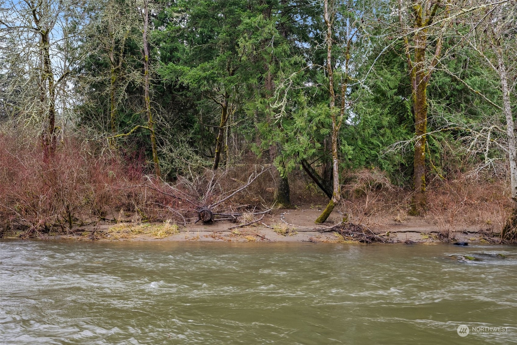 14047 Vail Cut Off Road Southeast Rainier, WA 98576 - Photo 16 of 23 Gallery Image 16