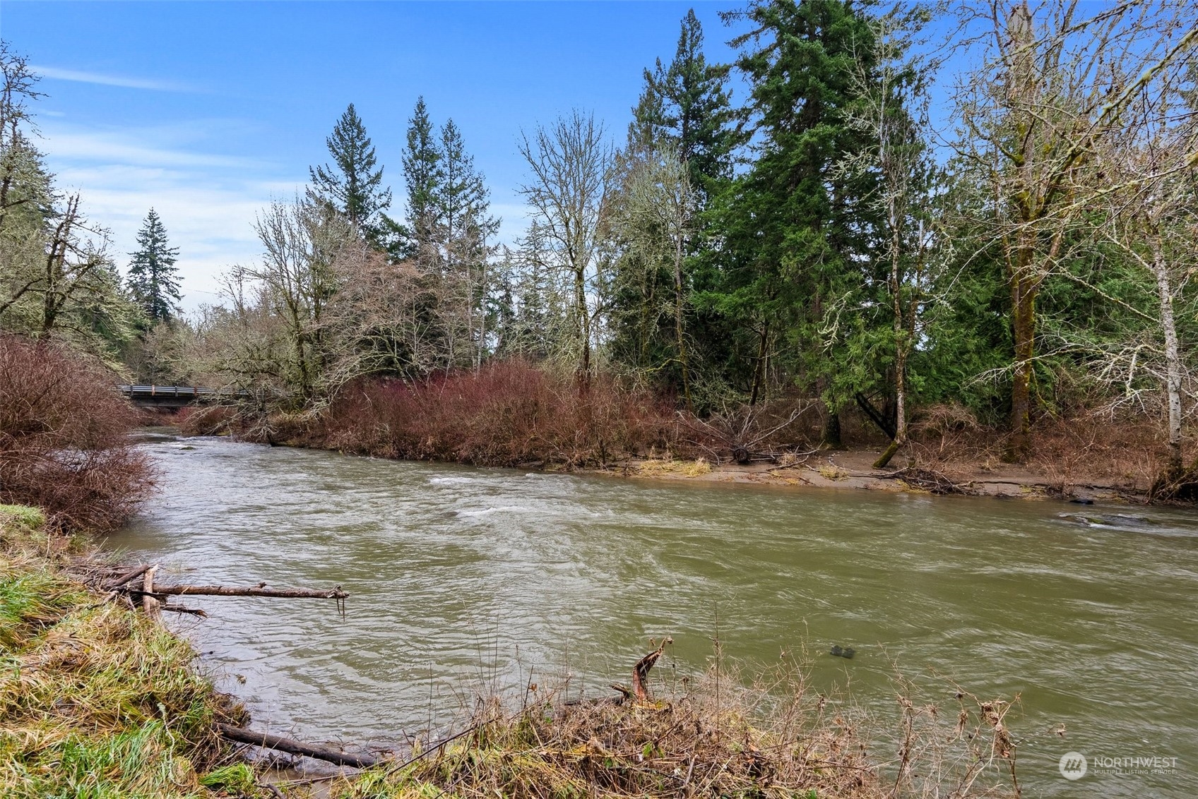 14047 Vail Cut Off Road Southeast Rainier, WA 98576 - Photo 17 of 23 Gallery Image 17