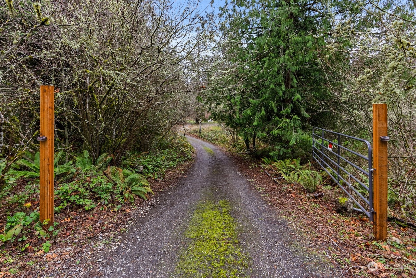 14047 Vail Cut Off Road Southeast Rainier, WA 98576 - Photo 4 of 23 Gallery Image 4