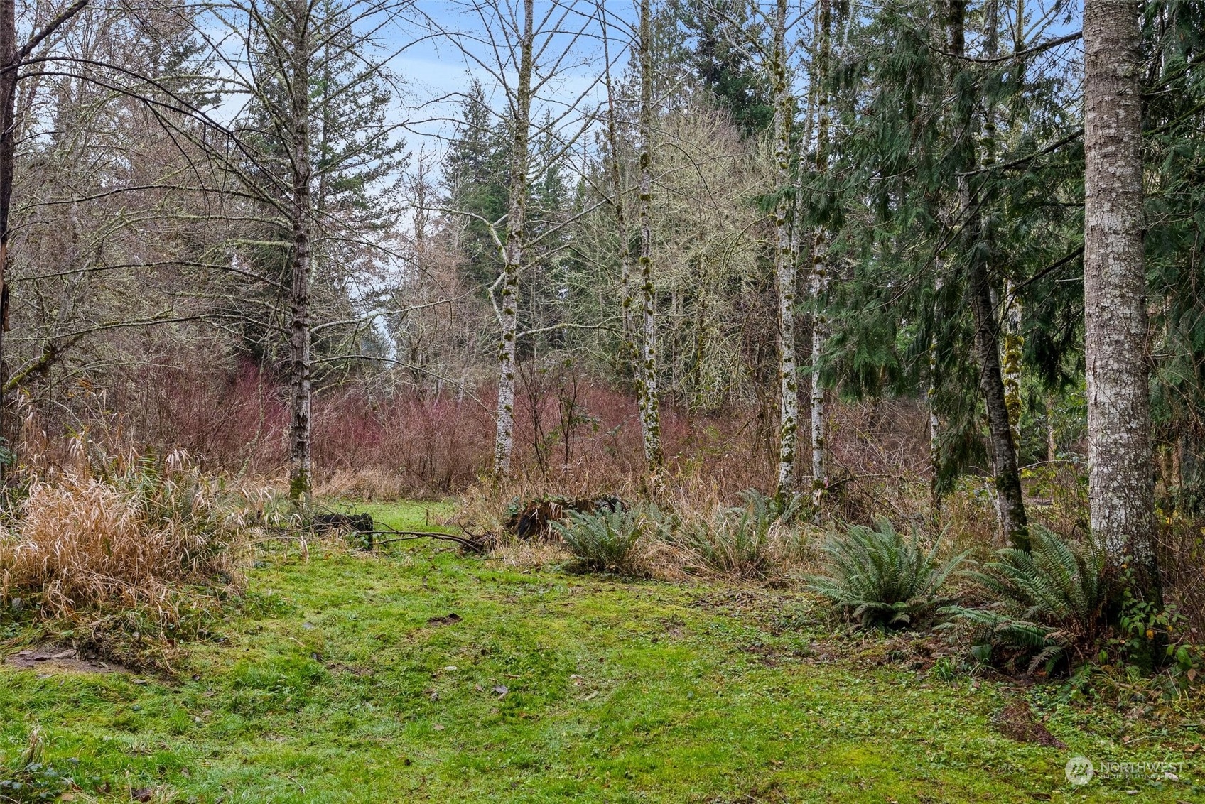 14047 Vail Cut Off Road Southeast Rainier, WA 98576 - Photo 8 of 23 Gallery Image 8