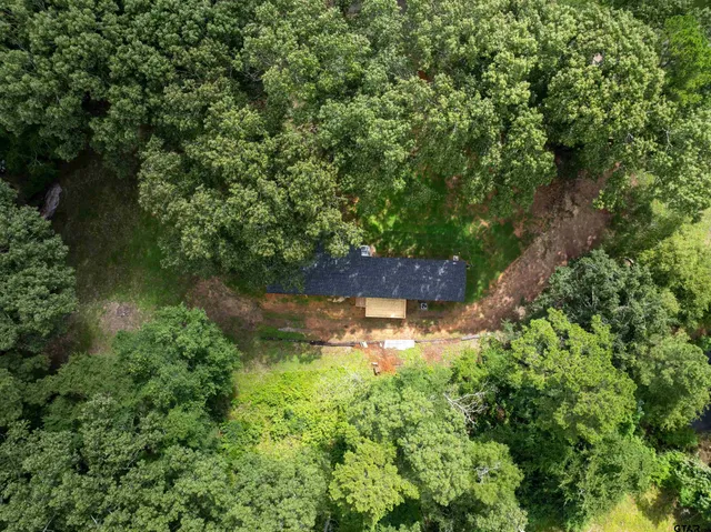 a backyard of a house with plants and large trees