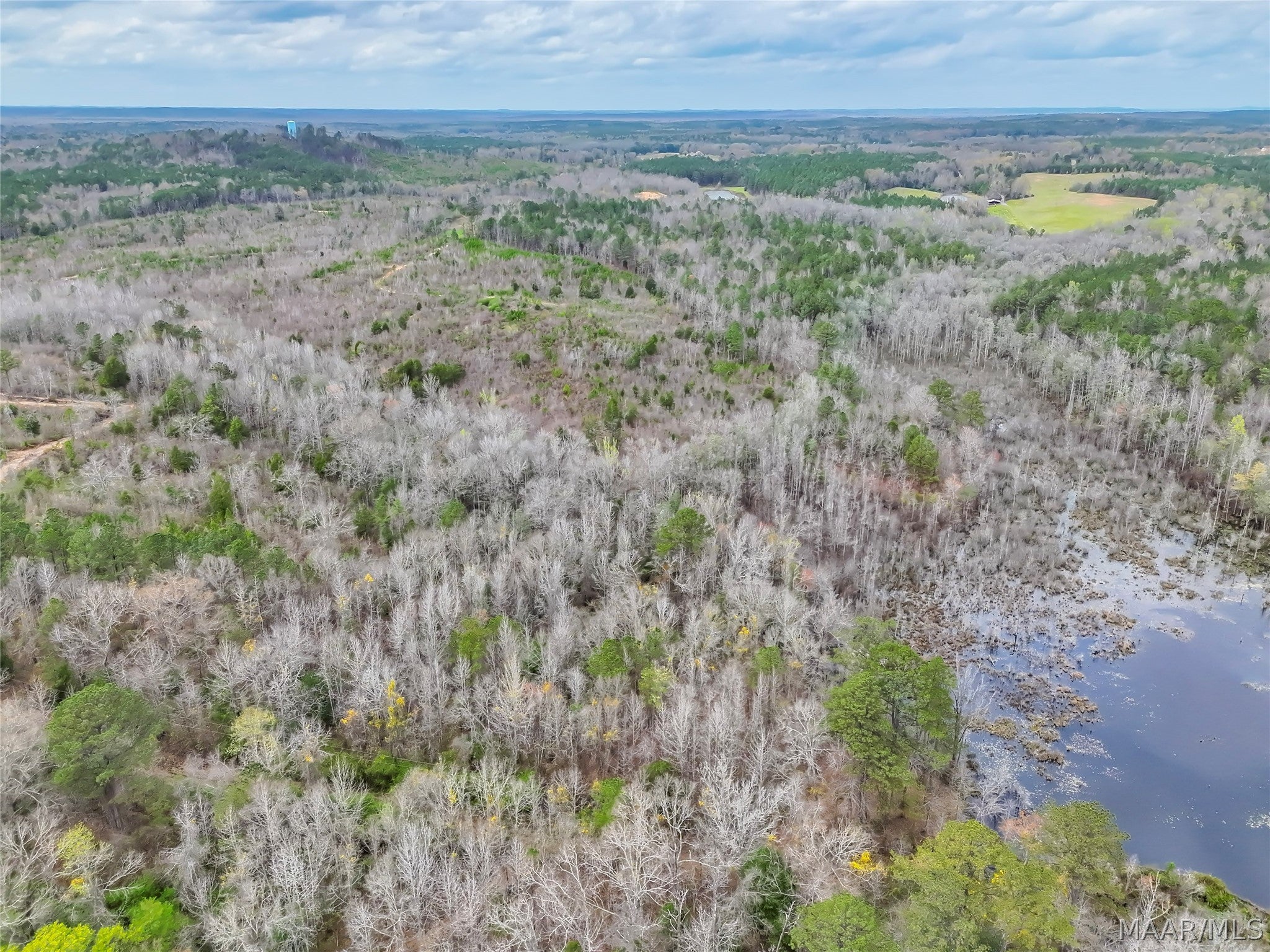 0 Brownin Road Ralph, AL 35480 - Photo 11 of 19 Gallery Image 11