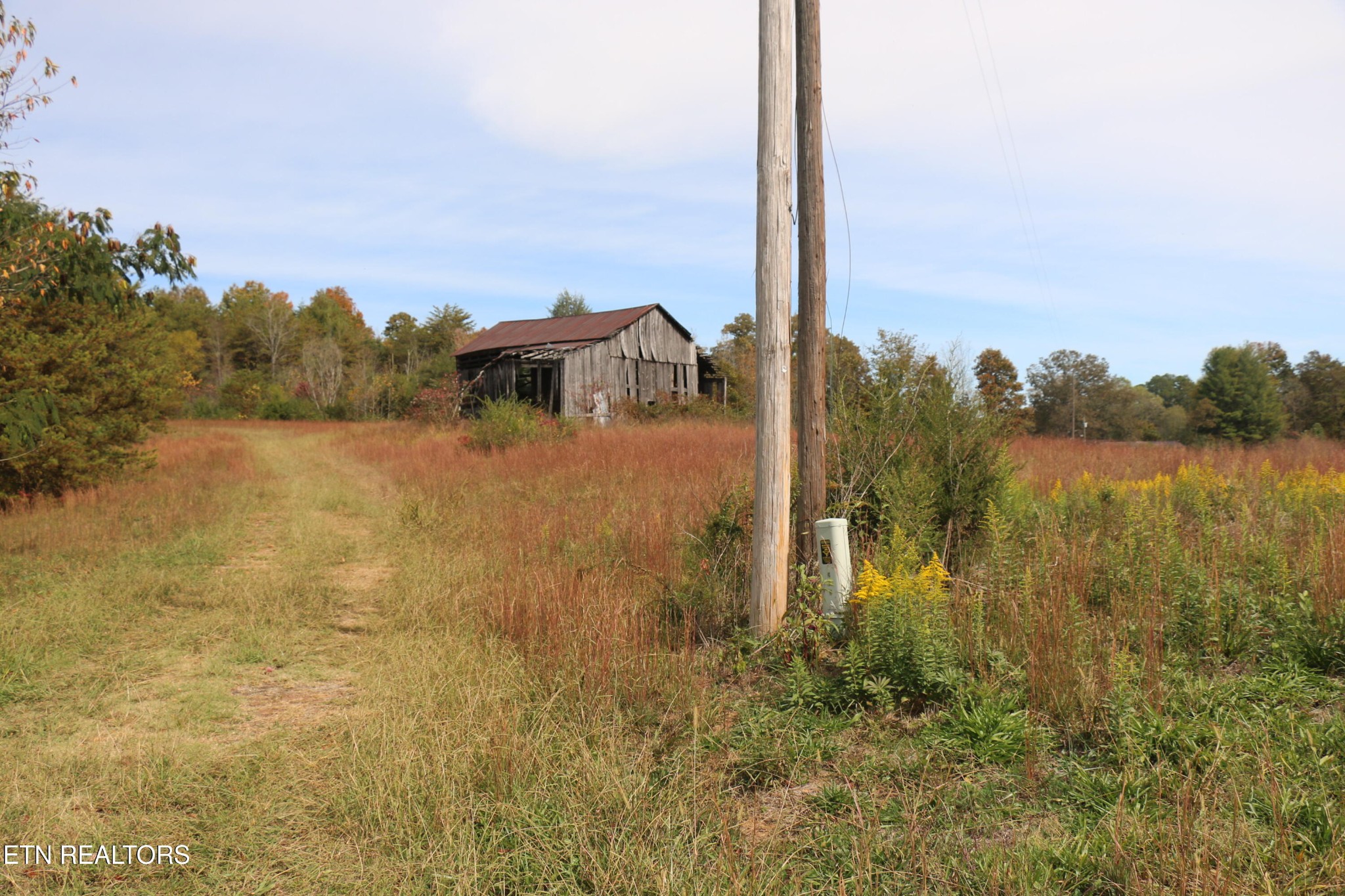 29 Ballplay Road Tellico Plains, TN 37385 - Photo 17 of 20