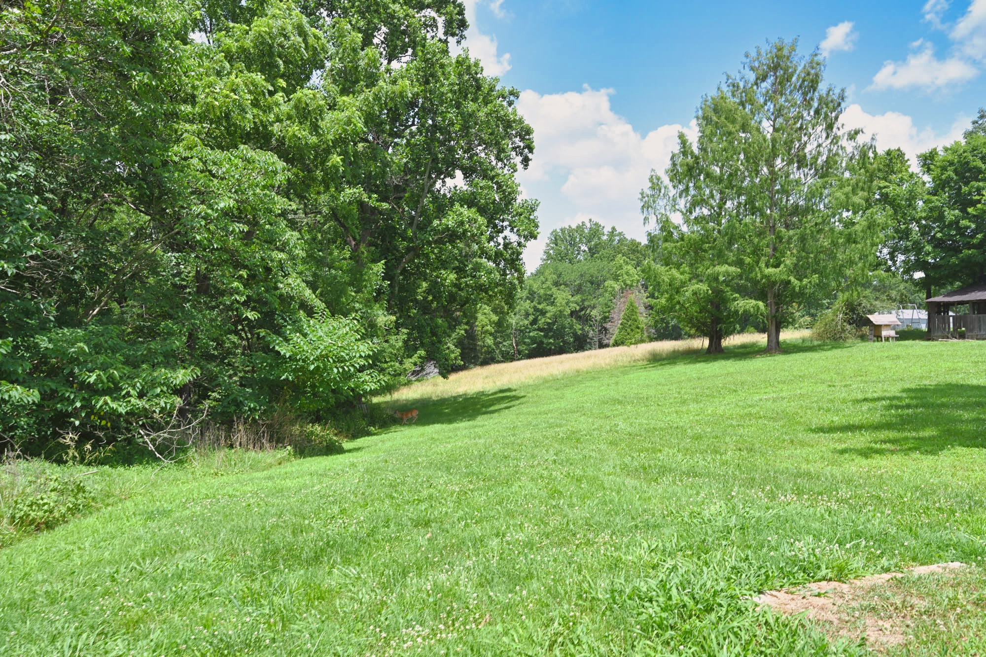 5658 Dividing Ridge Road Goodlettsville, TN 37072 - Photo 55 of 55