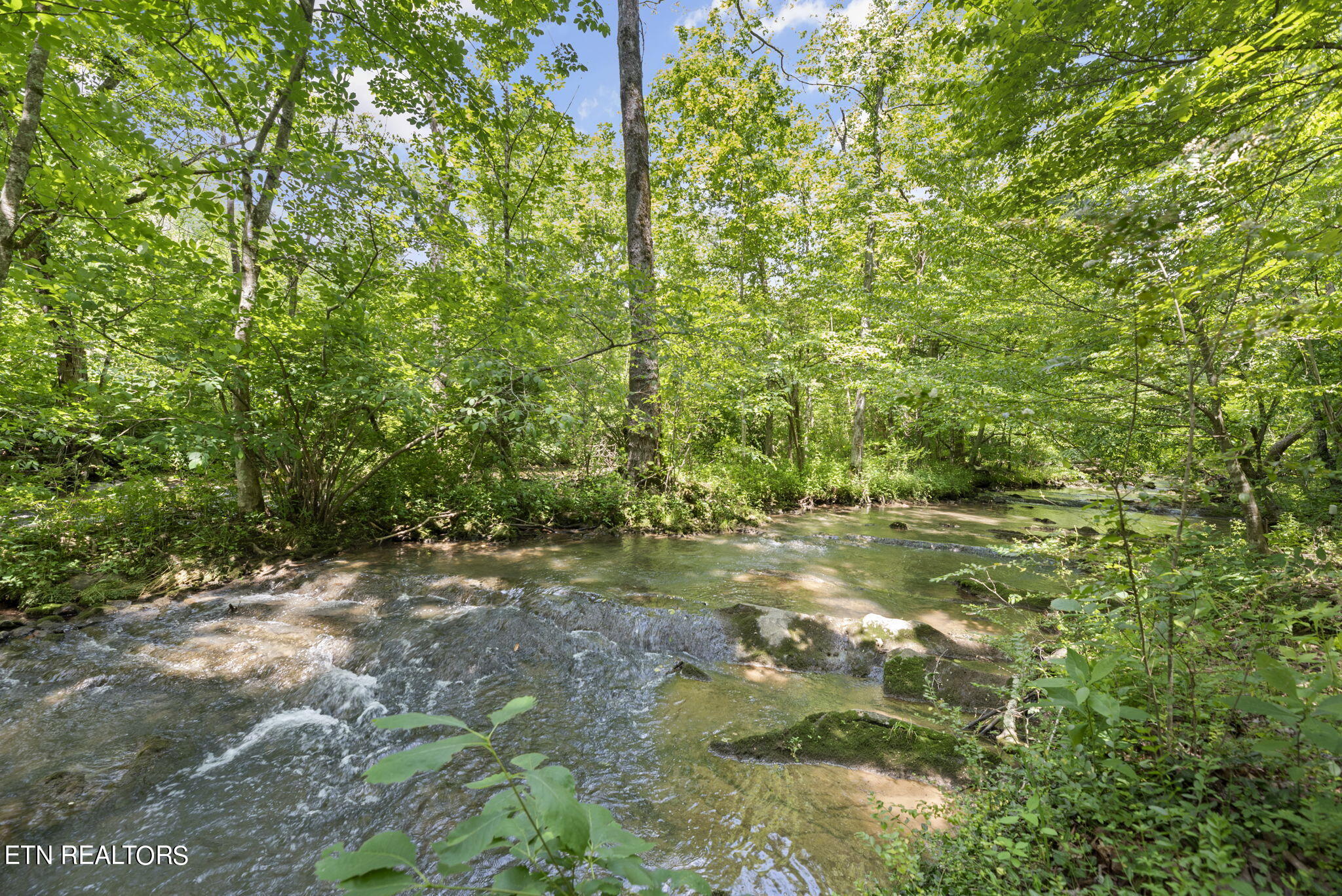 2323 Roseberry Road Mascot, TN 37806 - Photo 42 of 51 45-web-or-mls-Rsbrry2323 (118)