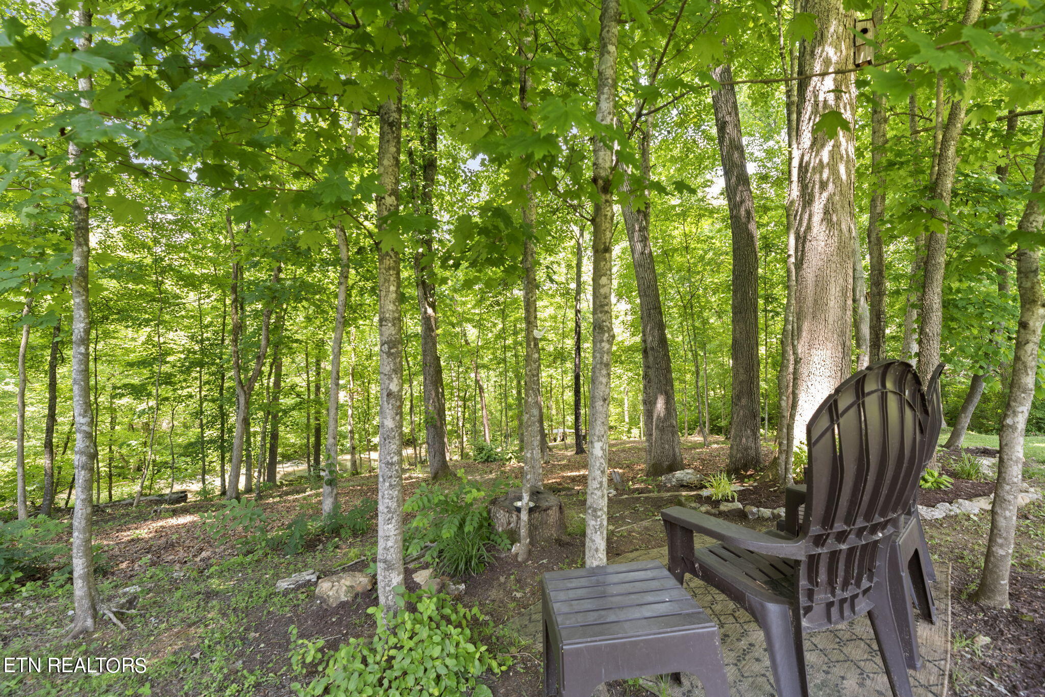 2323 Roseberry Road Mascot, TN 37806 - Photo 44 of 51 42-web-or-mls-Rsbrry2323 (106)