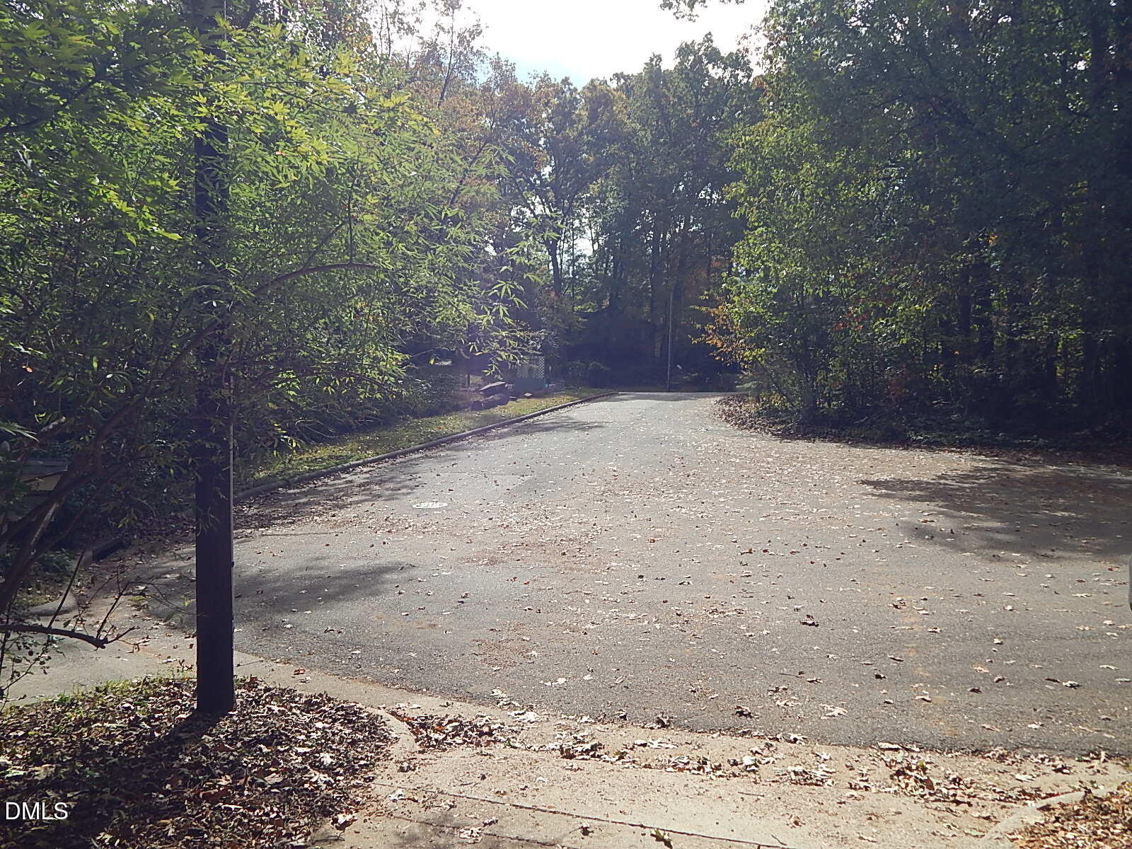 6408 Shadow Court Raleigh, NC 27613 - Photo 7 of 35 a view of a yard with a tree