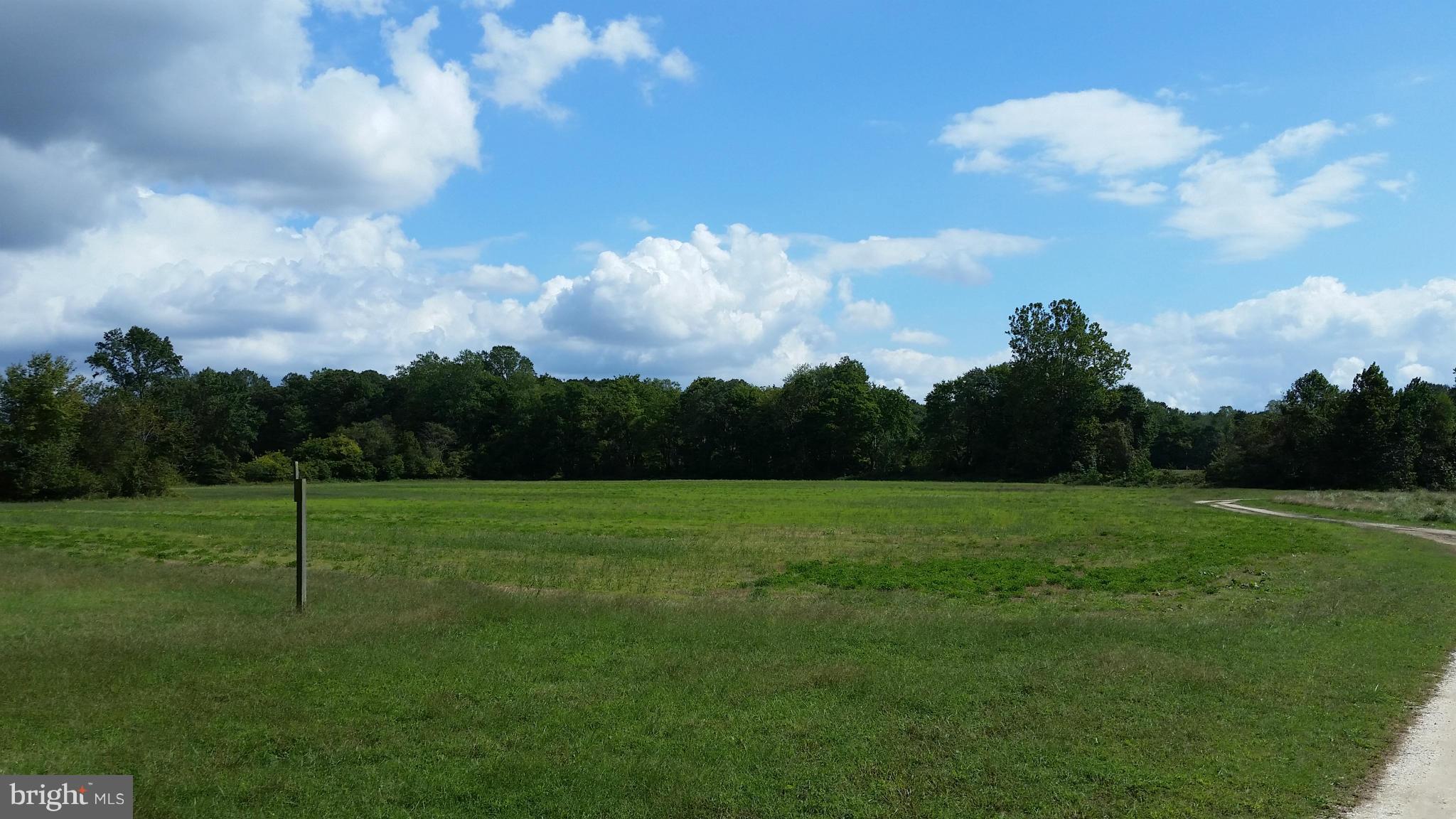 7459 Harmony Road Preston, MD 21655 - Photo 22 of 25 Fields