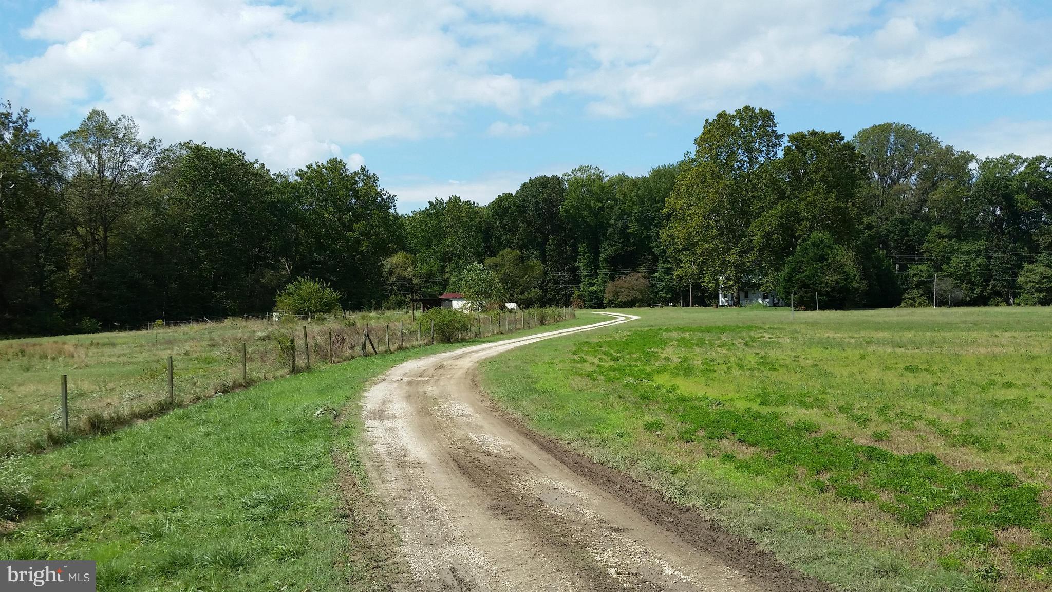 7459 Harmony Road Preston, MD 21655 - Photo 23 of 25 view R-O-W
