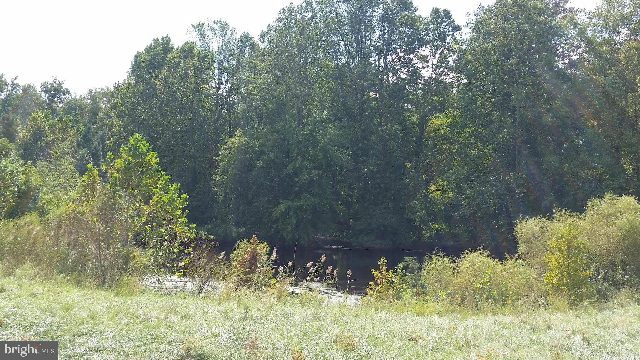 7459 Harmony Road Preston, MD 21655 - Photo 24 of 25 Pond