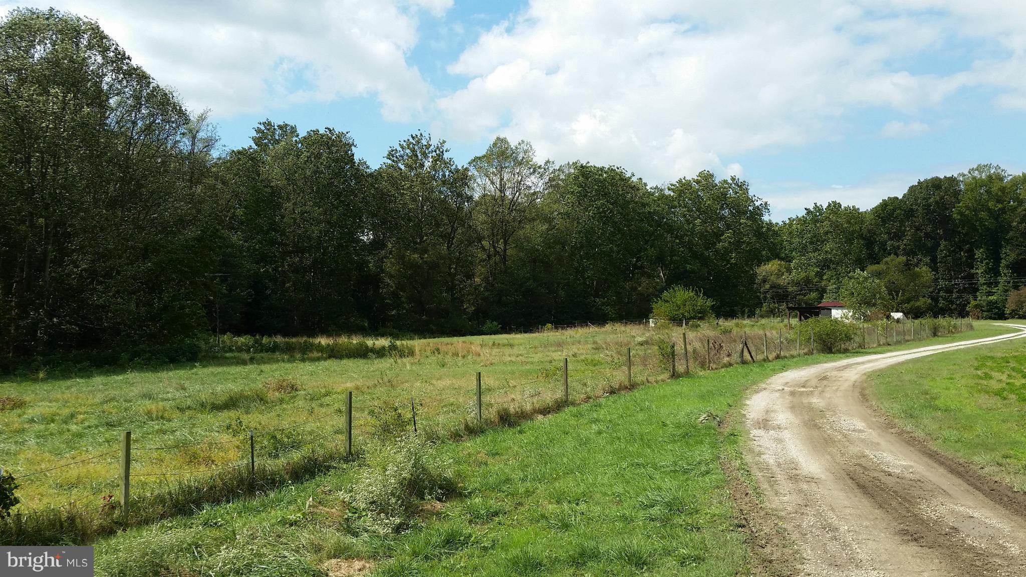 7459 Harmony Road Preston, MD 21655 - Photo 25 of 25 Pasture