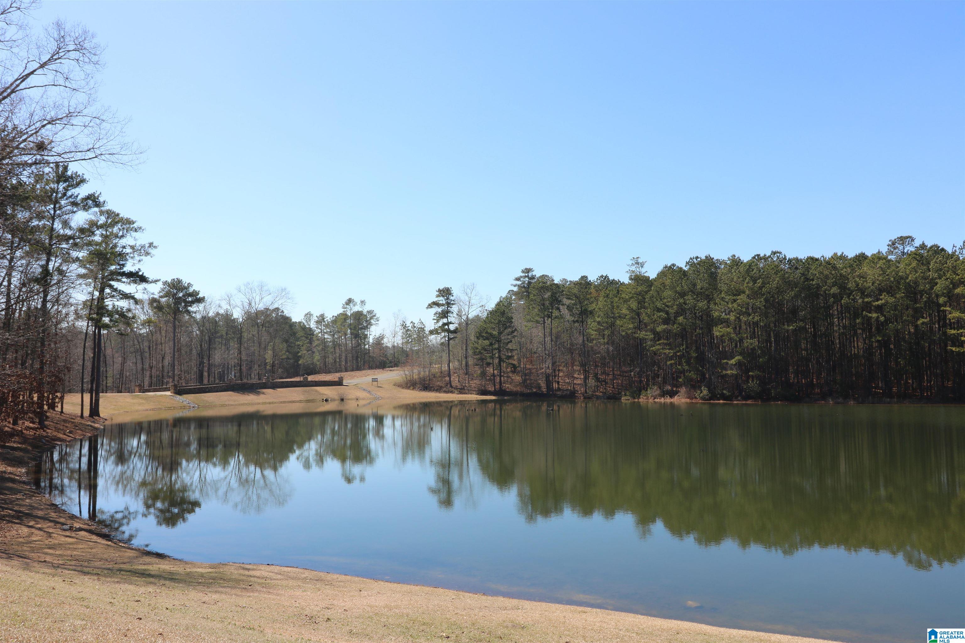 51 Bells Lane, Unit 51 Springville, AL 35146 - Photo 1 of 9