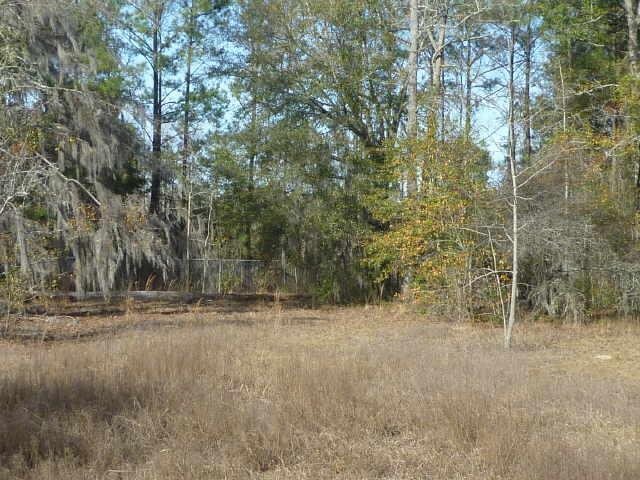 0 Old Augusta Rincon, GA 31326 - Photo 1 of 1 a view of a dry yard with trees