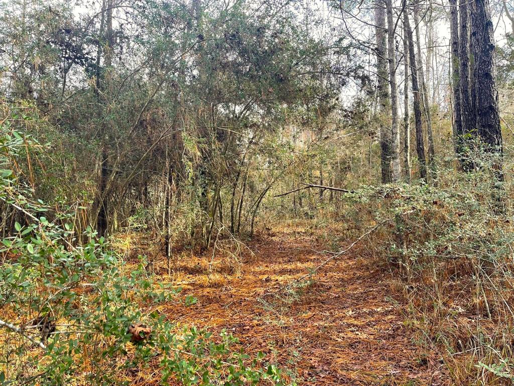 6010 Fm 692 Burkeville Tx  