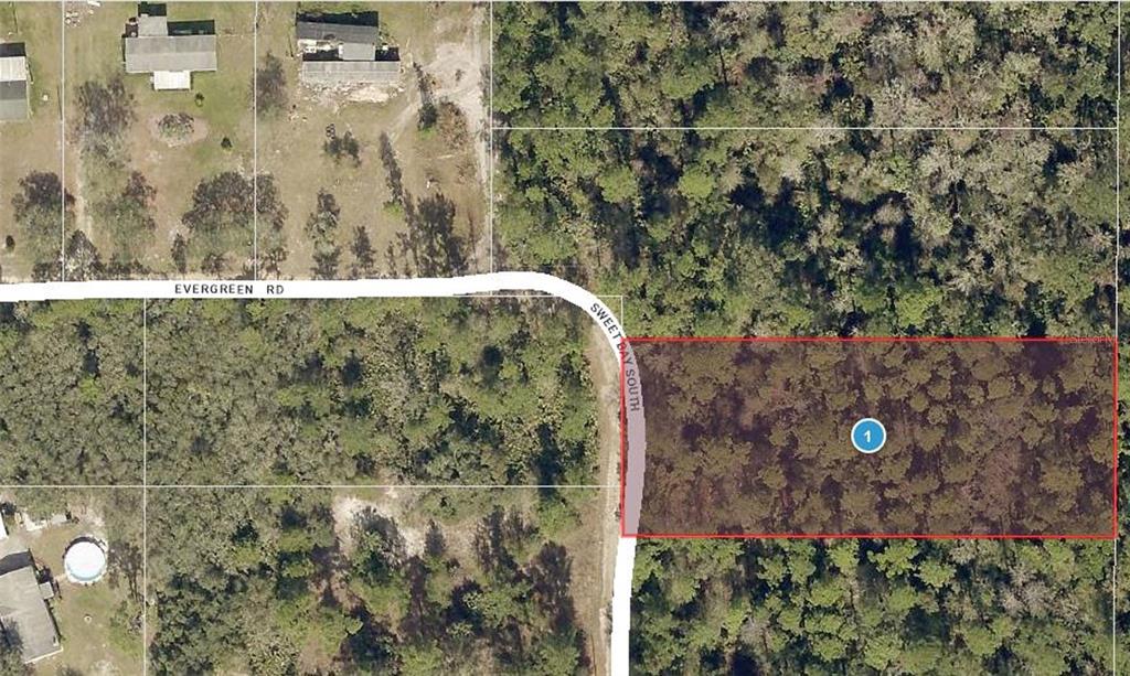 Evergreen Road DeLand, FL 32720 - Photo 1 of 1 Gallery Image 1