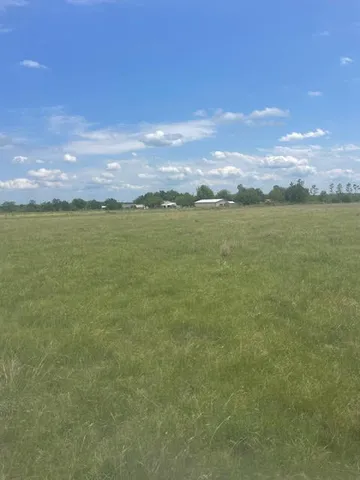 a view of a field with an ocean