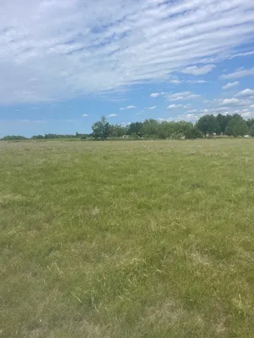 a view of a field with an trees