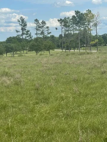 a view of a lake with houses in the back