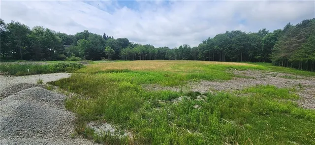 a view of backyard with green space