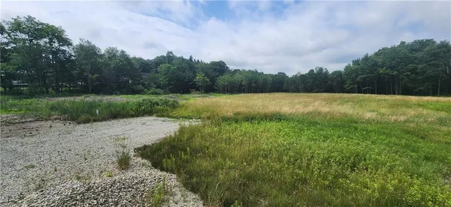 a view of a big yard with large trees