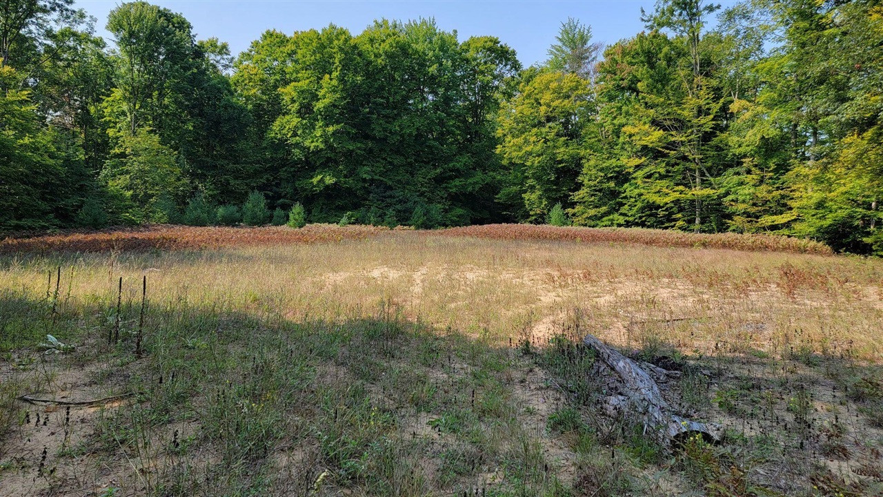 5 5 Mile Road Lakeview, MI 48850 - Photo 10 of 14